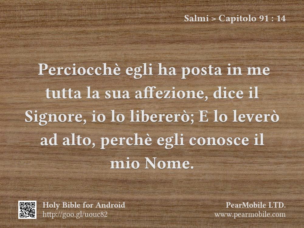 Salmi, Capitolo 91:14